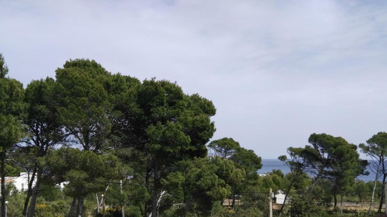 Dream House Villa Cala Ratjada  Luaran gambar
